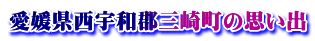 愛媛県西宇和郡三崎町の思い出